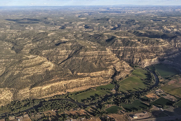 Fishing Colorado's Most Unique Freestone River, The Gold Medal Waters of the Animas