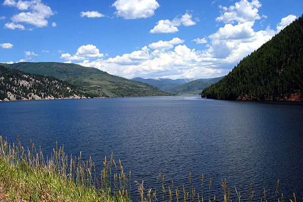 Fly Fishing on the Frying Pan River in Colorado