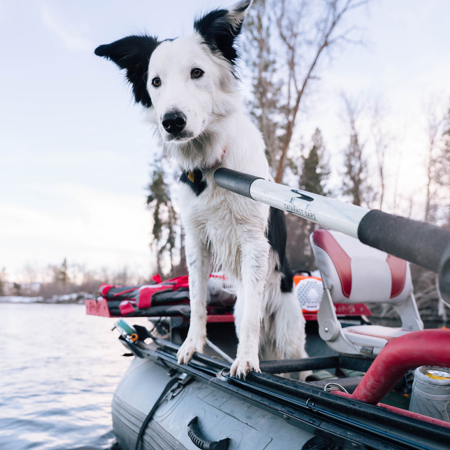 Swiftcast Rod Holder
