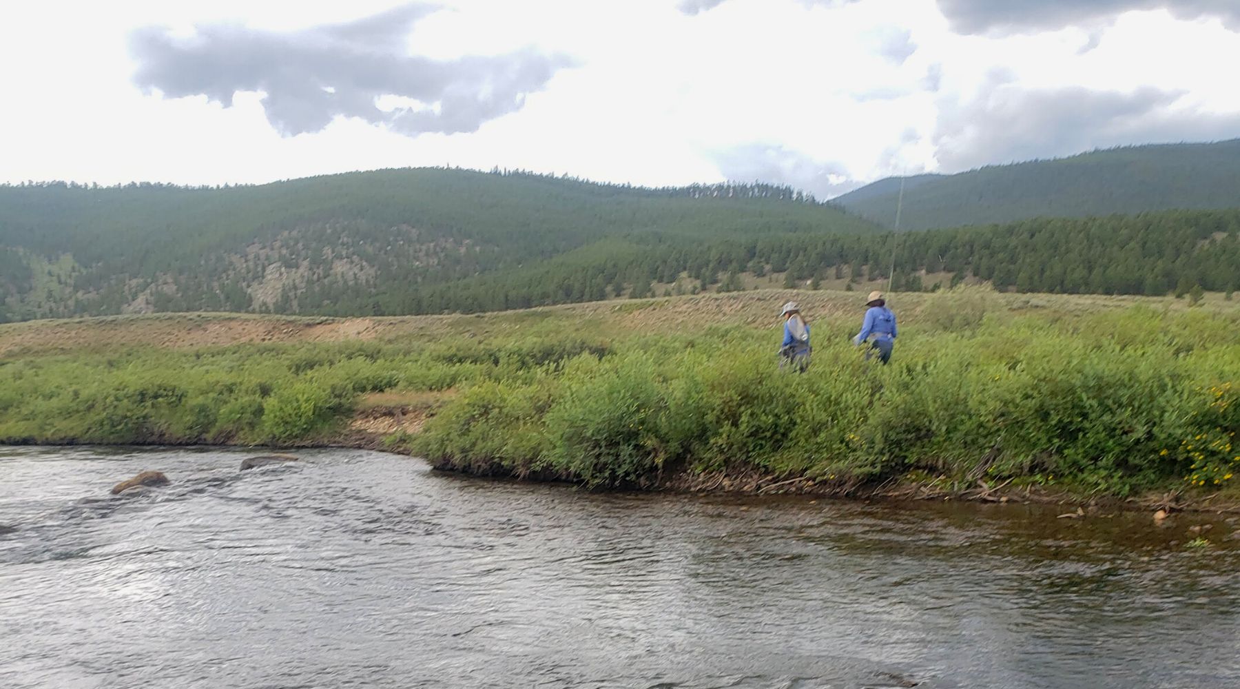 Fly Fishing Upper Taylor Park in Colorado