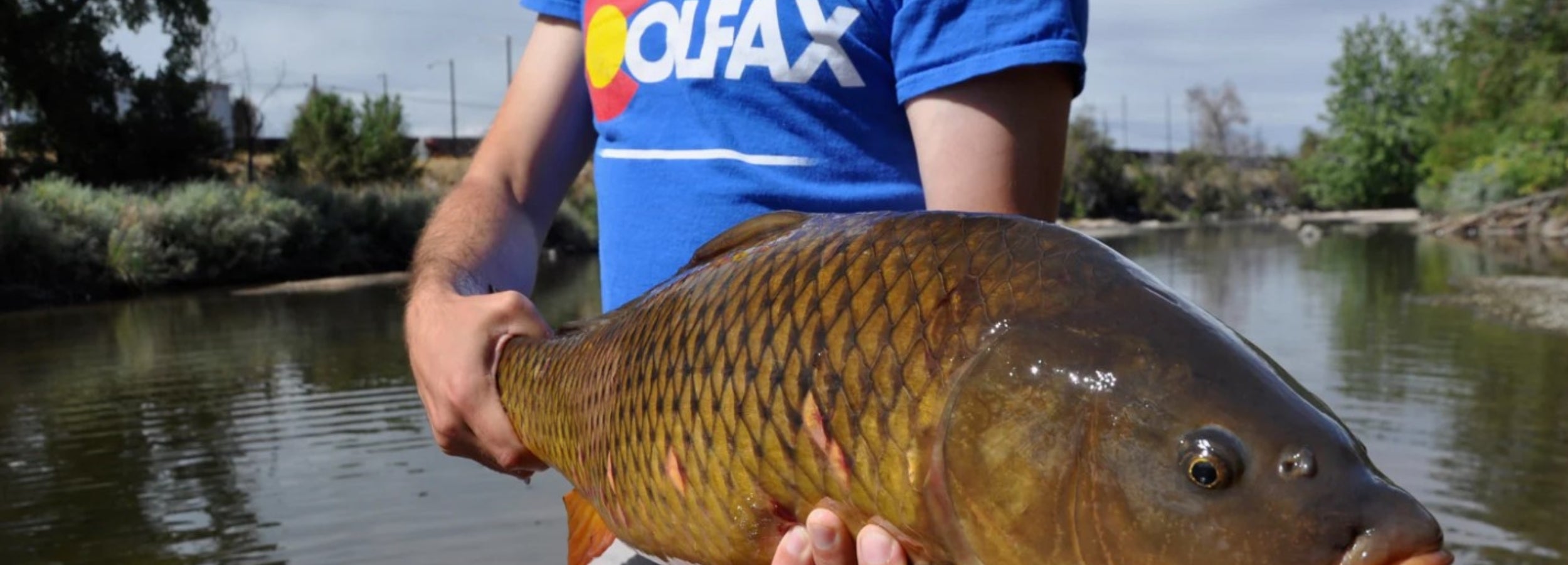 Help Support Denver's South Platte River