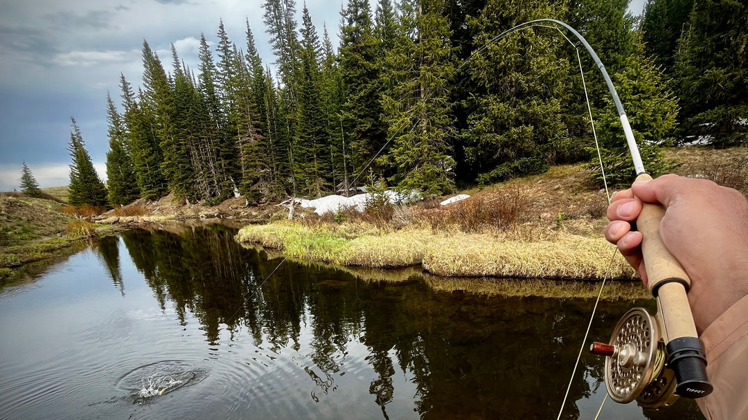 Dropshotting with a Fly Rod: A Practical Way to Fish Nymphs