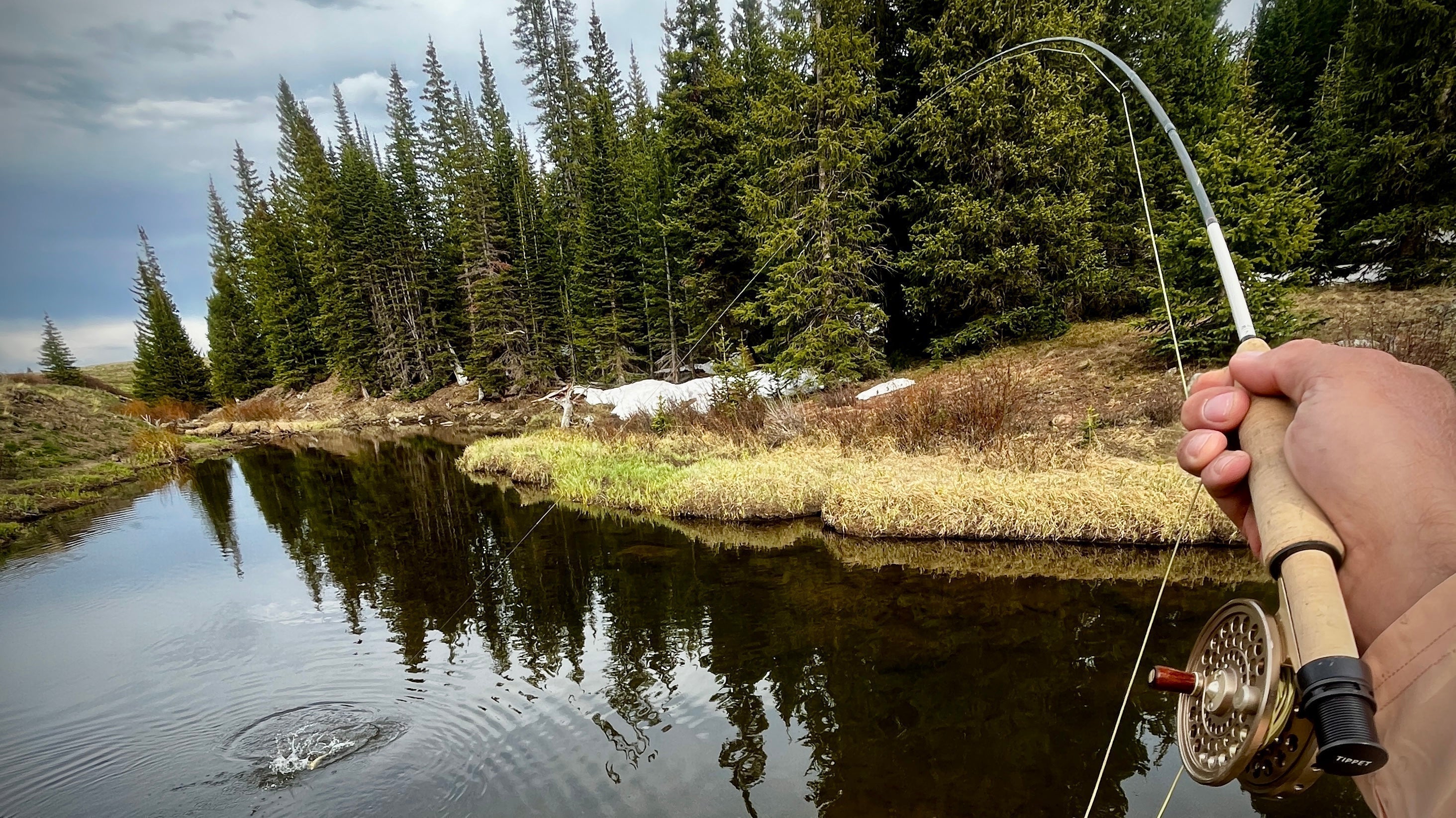 Dropshotting with a Fly Rod: A Practical Way to Fish Nymphs
