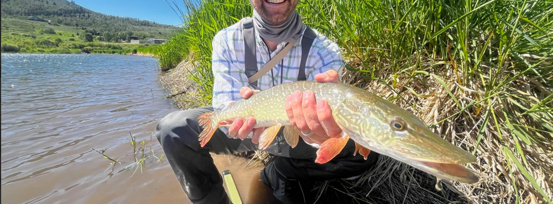Pushing Limits, Chasing Species: Riversmith at the 10th Annual 25 On the Fly