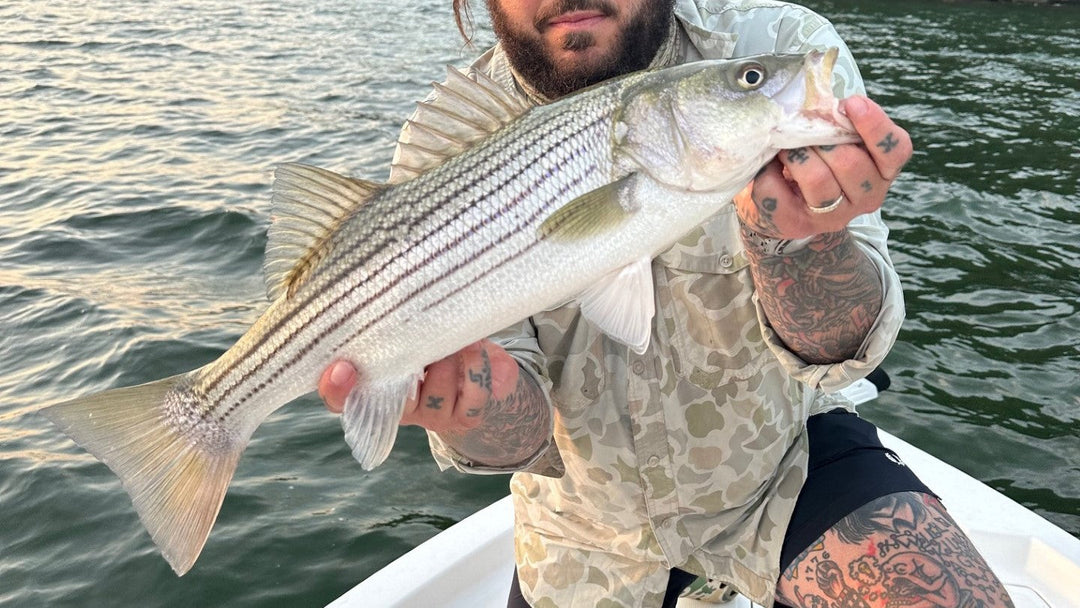 Support for the American Saltwater Guides Association