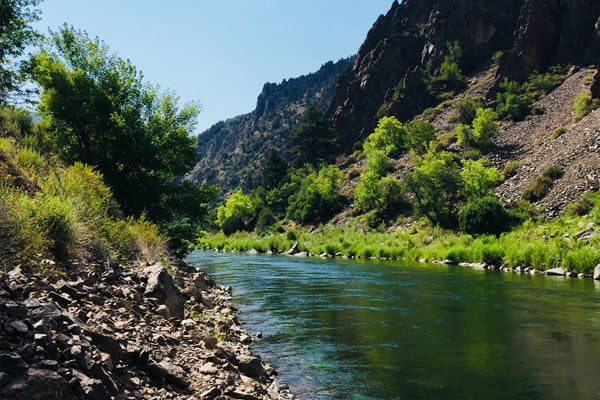 Gunnison River Fly Fishing in Southwestern Colorado