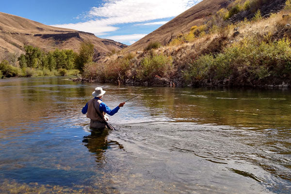 Fly Fishing for Rainbow Trout