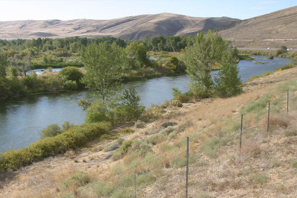 The Yakima River Fly Fishing in Washington State